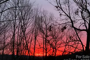 1193 Brightwater Dr, Hendersonville, NC 28739 - Photo 31