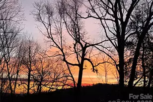 1193 Brightwater Dr, Hendersonville, NC 28739 - Photo 33