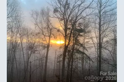 1193 Brightwater Drive, Hendersonville, NC 28739 - Photo 37