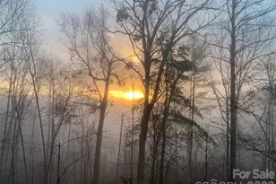 1193 Brightwater Dr, Hendersonville, NC 28739 - Photo 37