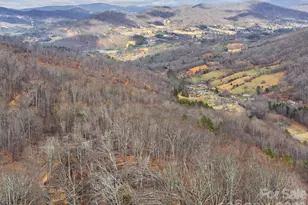 99999 Winterberry Rd, Burnsville, NC 28714 - Photo 5