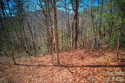 000 Whisnant Road, Lenoir, NC 28645 - Photo 5