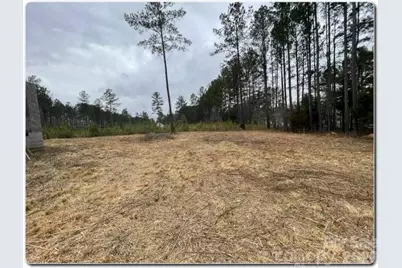 5166 Star Magnolia Court, Clover, SC 29710 - Photo 9