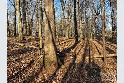 1.609 Ac Millersville Road #1, Taylorsville, NC 28681 - Photo 19