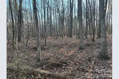 1.609 Ac Millersville Road #1, Taylorsville, NC 28681 - Photo 11