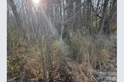 1.609 Ac Millersville Road #1, Taylorsville, NC 28681 - Photo 23