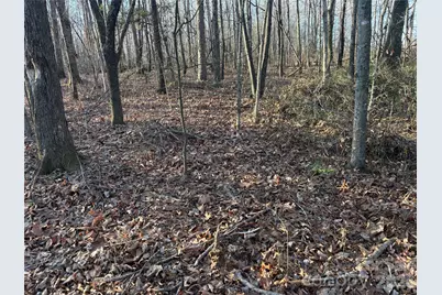 1.609 Ac Millersville Road #1, Taylorsville, NC 28681 - Photo 15