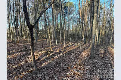 1.609 Ac Millersville Road #1, Taylorsville, NC 28681 - Photo 17