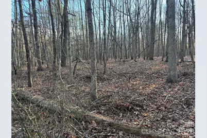 1.609 Ac Millersville Road #1, Taylorsville, NC 28681 - Photo 13