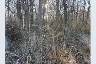 1.609 Ac Millersville Road #1, Taylorsville, NC 28681 - Photo 7