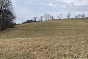 325 Tater Hill Rd, Zionville, NC 28698 - Photo 25