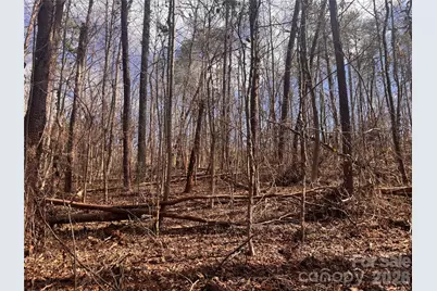 3924 Deer Run Drive NE, Conover, NC 28613 - Photo 11