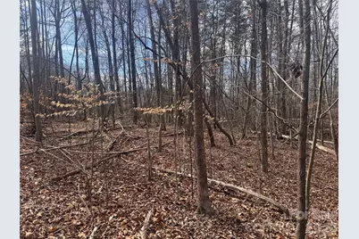 3924 Deer Run Drive NE, Conover, NC 28613 - Photo 15