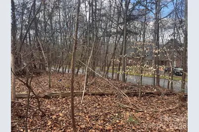 3924 Deer Run Drive NE, Conover, NC 28613 - Photo 19