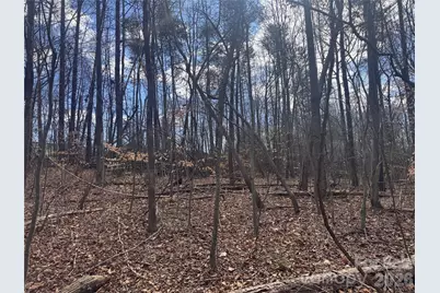 3924 Deer Run Drive NE, Conover, NC 28613 - Photo 13