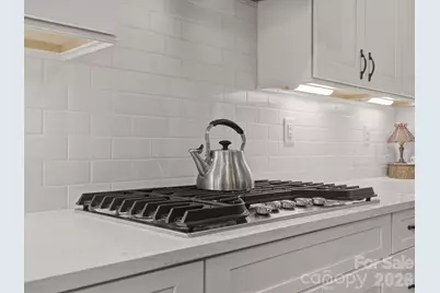 481 Sandbar Point, Lake Wylie, SC 29710 - Photo 17