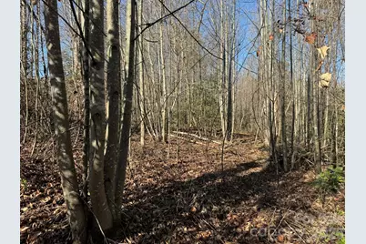 Tbd Rock Creek Church Road, North Wilkesboro, NC 28659 - Photo 29