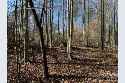 Tbd Rock Creek Church Road, North Wilkesboro, NC 28659 - Photo 27