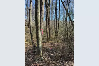 Tbd Rock Creek Church Road, North Wilkesboro, NC 28659 - Photo 19