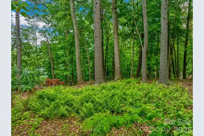 17 Hendrickson Court, Candler, NC 28715 - Photo 11