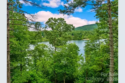 17 Hendrickson Court, Candler, NC 28715 - Photo 3