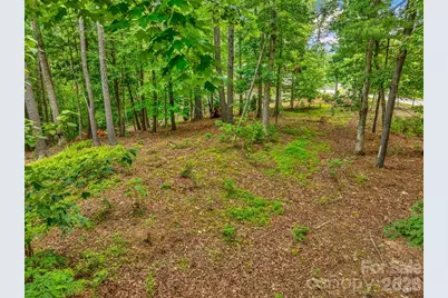 17 Hendrickson Court, Candler, NC 28715 - Photo 13