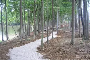 8238 Merryvale Ln, Charlotte, NC 28214 - Photo 39