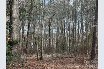 Lot 18 Sanctuary Lane, Lilesville, NC 28091 - Photo 5