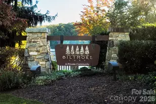 115 Ginger Quill Cir, Candler, NC 28715 - Photo 47