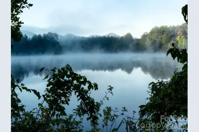 115 Ginger Quill Circle, Candler, NC 28715 - Photo 39
