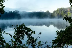 115 Ginger Quill Cir, Candler, NC 28715 - Photo 39