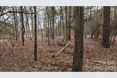 Tbd Retreat Way #3, Ridgeway, SC 29130 - Photo 11