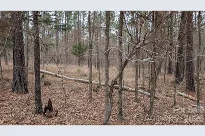 Tbd Retreat Way #3, Ridgeway, SC 29130 - Photo 9