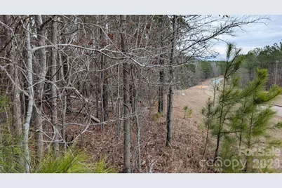 Tbd Retreat Way #3, Ridgeway, SC 29130 - Photo 21