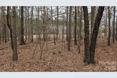 Tbd Retreat Way #3, Ridgeway, SC 29130 - Photo 13