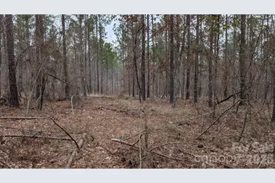 Tbd Retreat Way #3, Ridgeway, SC 29130 - Photo 15