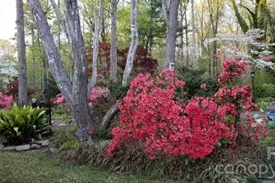 2025 Creekwood Dr, York, SC 29745 - Photo 35