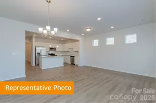 6113 Jasmine Br Rd, Charlotte, NC 28216 - Photo 11