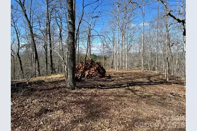 00 Millcreek Way, Rutherfordton, NC 28139 - Photo 23