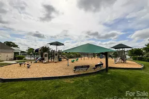 2005 Blue Iris Dr, Matthews, NC 28104 - Photo 43