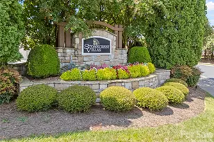 768 Ledgestone Ct, Tega Cay, SC 29708 - Photo 29