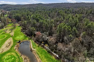 23 Goldfinch Ct, Brevard, NC 28712 - Photo 45