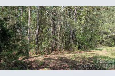 Tbd Boyd Road, Blackstock, SC 29014 - Photo 21