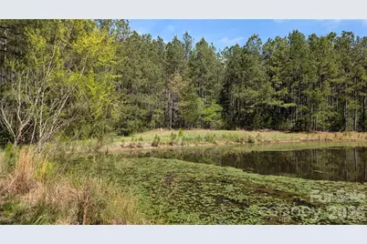 Tbd Boyd Road, Blackstock, SC 29014 - Photo 17