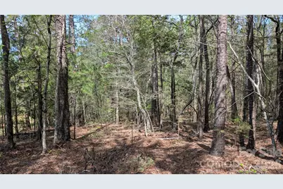 Tbd Boyd Road, Blackstock, SC 29014 - Photo 9
