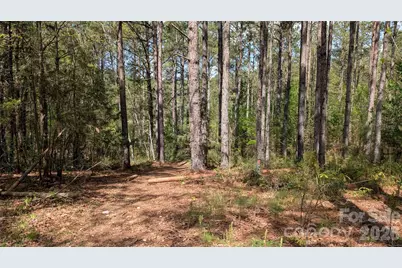 Tbd Boyd Road, Blackstock, SC 29014 - Photo 11
