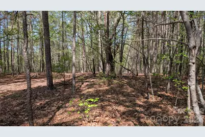 Tbd Boyd Road, Blackstock, SC 29014 - Photo 7