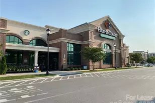 6434 Raffia Rd, Charlotte, NC 28277 - Photo 21