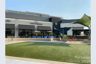 6434 Raffia Road, Charlotte, NC 28277 - Photo 25