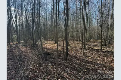 001 Rock Creek Church Road, North Wilkesboro, NC 28659 - Photo 5